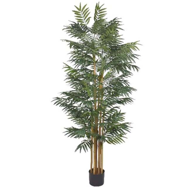 Leaf Phoenix Palm Natural Trunk Artificial Tree in Pot 7ft - Size: 210 x 80 x 80cm - Green - Wilko - image 1