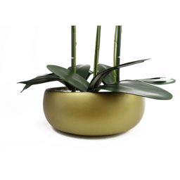 Botanik Purple Orchid Artificial Tree in Gold Ceramic Planter 60cm - Size: 60 x 40 x 40cm - Pink - Wilko - thumbnail 4