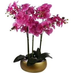 Botanik Purple Orchid Artificial Tree in Gold Ceramic Planter 60cm - Size: 60 x 40 x 40cm - Pink - Wilko - thumbnail 1