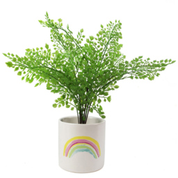 Botanik Multicolour Rainbow Ceramic Planter 12cm - Size: 12 x 12 x 12cm - Pink - Wilko - thumbnail 3
