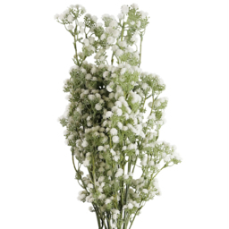 Leaf White Gypsophila Artificial Stem 85cm 6 Pack - Size: 85 x 12 x 12cm - Wilko - thumbnail 4