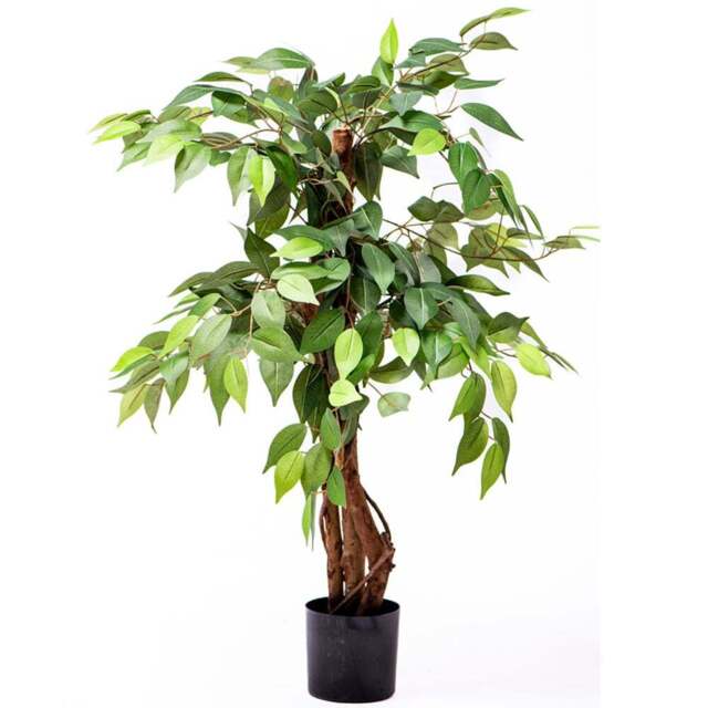 Garden Gear 3 Trunk Artificial Ficus Tree in Pot 90cm - Size: 90 x 17 x 17cm - Green - Thompson & Morgan - Wilko - image 1