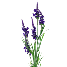 Leaf Purple Larkspur Artificial Stem 80cm 6 Pack - Size: 80 x 10 x 10cm - Wilko - thumbnail 4