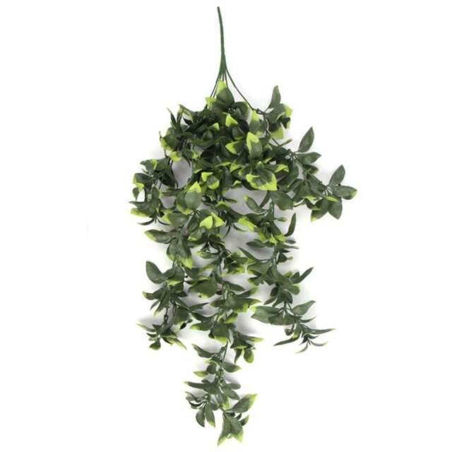 Leaf Green Pothos Hanging Artificial Plant 2ft - Size: 71 x 30 x 10cm - Wilko - image 1