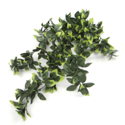 Leaf Green Pothos Hanging Artificial Plant 2ft - Size: 71 x 30 x 10cm - Wilko - thumbnail 3