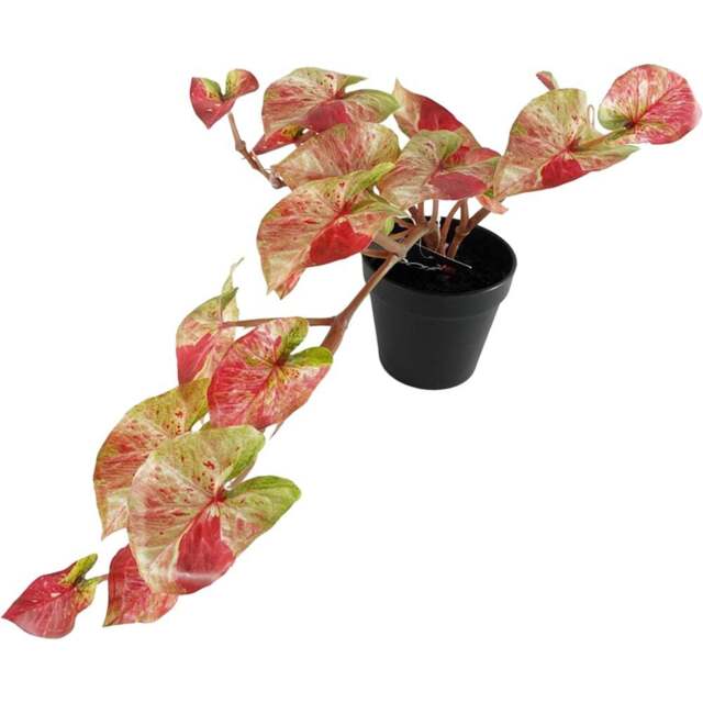 Botanik Pink Splash Trailing Caladium Hanging Artificial Plant in Pot 35cm - Size: 35 x 40 x 30cm - Wilko - image 1