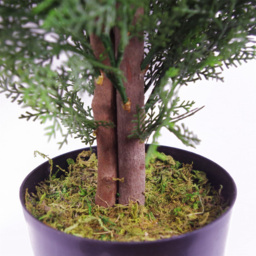 Leaf Large Cedar Topiary Artificial Tree Pot 4ft - Size: 120 x 55 x 55cm - Green - Wilko - thumbnail 4