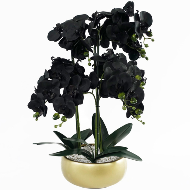 Leaf Black Orchid Artificial Plant with Gold Ceramic Planter 1.9ft - Size: 60 x 40 x 40cm - Wilko - image 1