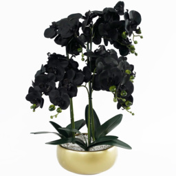 Leaf Black Orchid Artificial Plant with Gold Ceramic Planter 1.9ft - Size: 60 x 40 x 40cm - Wilko - thumbnail 1