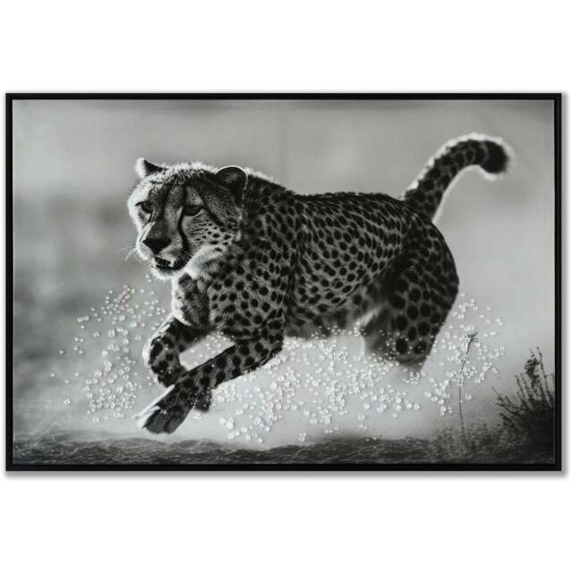 Monochrome Cheetah Framed Print - Black - Wilko - image 1