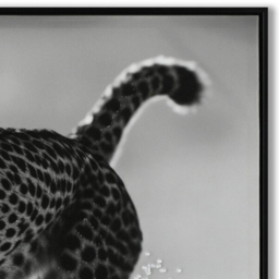 Monochrome Cheetah Framed Print - Black - Wilko - thumbnail 7