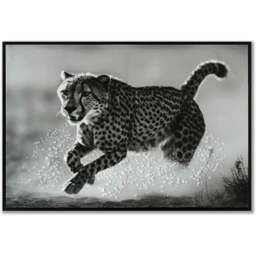 Monochrome Cheetah Framed Print - Black - Wilko