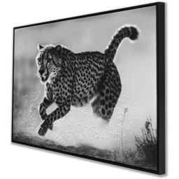 Monochrome Cheetah Framed Print - Black - Wilko - thumbnail 3