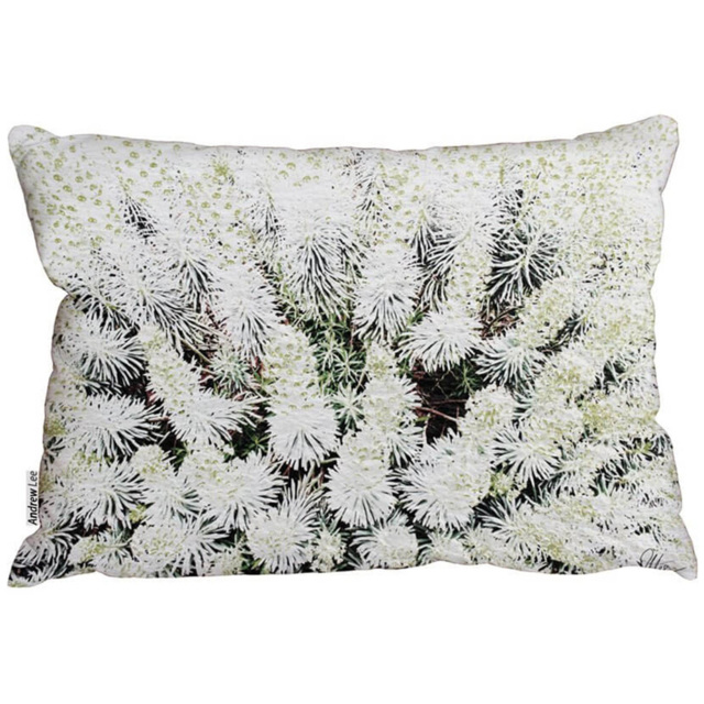 Benjamin Tate Design Beautifully White Outdoor Cushion 45 x 45cm - Size: 45 x 30 x 10cm - Wilko - image 1