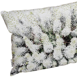 Benjamin Tate Design Beautifully White Outdoor Cushion 45 x 45cm - Size: 45 x 30 x 10cm - Wilko - thumbnail 3