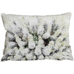 Benjamin Tate Design Beautifully White Outdoor Cushion 45 x 45cm - Size: 45 x 30 x 10cm - Wilko - thumbnail 1