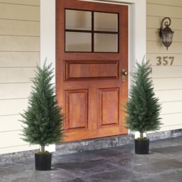 Portland Artificial Cypress Plant in Pot 90cm 2 Pack - Size: 90 x 40 x 40cm - Green - Wilko - thumbnail 5