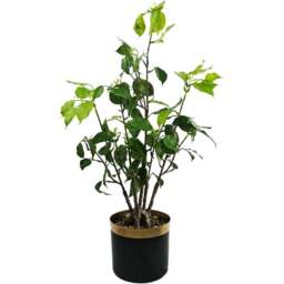 Leaf Banyan Bonsai Ficus Artificial Tree 60cm - Size: 60 x 30 x 30cm - Green - Wilko - thumbnail 1