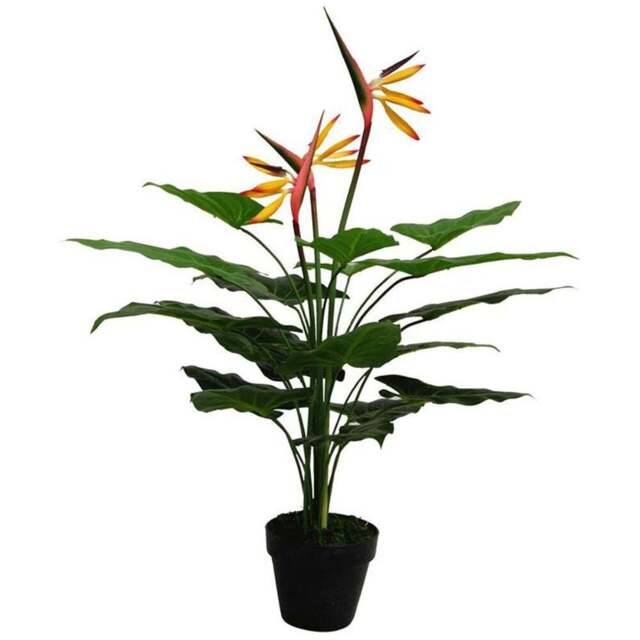 Leaf Strelitzia Artificial Plant in Pot 70cm - Size: 70 x 50 x 50cm - Green - Wilko - image 1