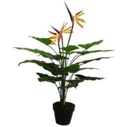 Leaf Strelitzia Artificial Plant in Pot 70cm - Size: 70 x 50 x 50cm - Green - Wilko - thumbnail 1