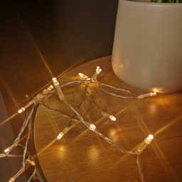 Samuel Alexander Vintage Gold LED Fairy Lights with Timer - Size: 1000 x 1000 x 4cm - Clear - Wilko - thumbnail 1