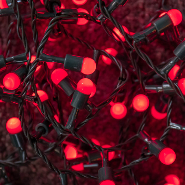 Samuel Alexander 1000 Red LED Berry Multi-Function Green String Light - Size: 5 x 26 x 10cm - Wilko - image 1