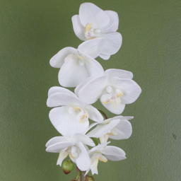 Botanik White Orchid Artificial Plant in Silver Pot 46cm - Size: 46 x 15 x 15cm - Wilko - thumbnail 4
