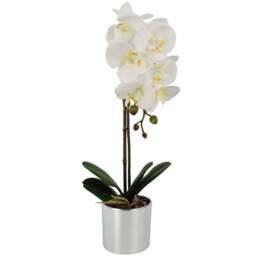 Botanik White Orchid Artificial Plant in Silver Pot 46cm - Size: 46 x 15 x 15cm - Wilko