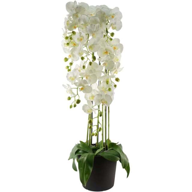 Botanik Large White Orchid Artificial Plant in Pot 3.6ft - Size: 110 x 40 x 40cm - Wilko - image 1
