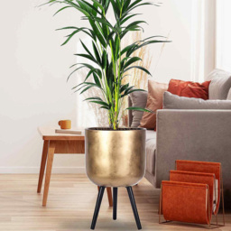 wilko Gold Concrete Effect Indoor Planter with Legs 61cm - Instadecor - thumbnail 4
