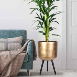 wilko Gold Concrete Effect Indoor Planter with Legs 61cm - Instadecor - thumbnail 7