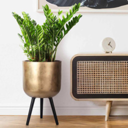 wilko Gold Concrete Effect Indoor Planter with Legs 61cm - Instadecor - thumbnail 3