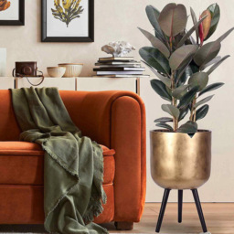 wilko Gold Concrete Effect Indoor Planter with Legs 61cm - Instadecor - thumbnail 6