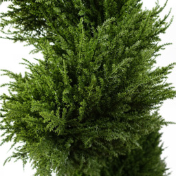 Leaf Artificial Spiral Cypress Tree 120cm - Size: 120 x 40 x 40cm - Green - Wilko - thumbnail 3