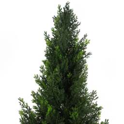 Leaf Artificial Cypress UV Cedar Topiary Tree 120cm - Size: 120 x 35 x 35cm - Green - Wilko - thumbnail 3