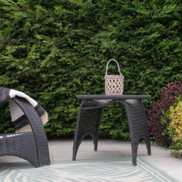 JVL Luna Grey Wash Natural Willow Wood Lantern with Braided Rope Handle 2 Pack - Size: 16.5 x 15 x 15cm - Wilko - thumbnail 7