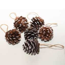 St Helens White Tipped Hanging Pinecone Ornaments 6 Pack - Size: 150 x 55 x 55cm - Wilko - thumbnail 4