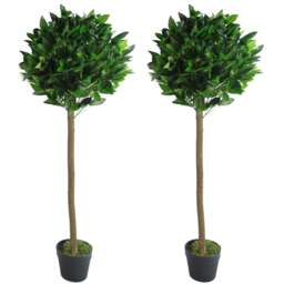 Leaf Artificial Plain Stem Bay Laurel Ball Topiary Tree 120cm 2 Pack - Size: 120 x 45 x 45cm - Green - Wilko - thumbnail 1