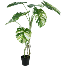 Botanik Variegated Monstera Artificial Tree in Pot 4ft - Size: 120 x 60 x 60cm - Green - Wilko - thumbnail 1
