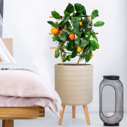 wilko Plaited Style Beige Indoor Cylinder Plant Pot with Legs 46cm - Instadecor - thumbnail 6