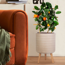 wilko Plaited Style Beige Indoor Cylinder Plant Pot with Legs 46cm - Instadecor - thumbnail 3