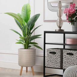 wilko Plaited Style Beige Indoor Cylinder Plant Pot with Legs 46cm - Instadecor - thumbnail 5
