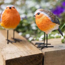 Marco Paul Bird Robin Set 2 Pack - Size: 10 x 6 x 6cm - Orange - Wilko - thumbnail 4