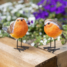 Marco Paul Bird Robin Set 2 Pack - Size: 10 x 6 x 6cm - Orange - Wilko - thumbnail 5