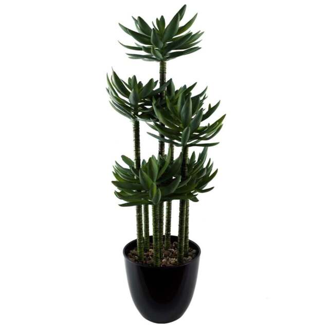 Botanik Tropical Yukka Artificial Plant in Pot 60cm - Size: 60 x 25 x 25cm - Green - Wilko - image 1