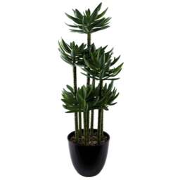 Botanik Tropical Yukka Artificial Plant in Pot 60cm - Size: 60 x 25 x 25cm - Green - Wilko - thumbnail 1