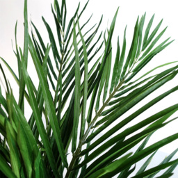 Botanik Areca Palm Artificial Tree in Pot 4ft - Size: 130 x 100 x 100cm - Green - Wilko - thumbnail 5