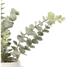 Eucalyptus Artificial Plant in White Ceramic Pot - Wilko - thumbnail 3