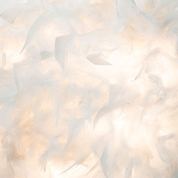 Happy Homewares Small White Feather Decorated Pendant Shade - Size: 20 x 25 x 25cm - Wilko - thumbnail 4