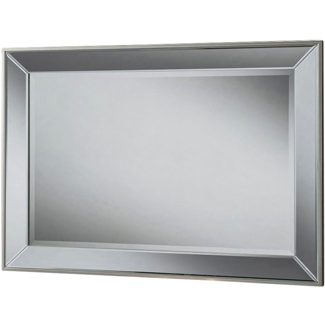 Yearn Champagne Trim Large Bevelled Mirror 102 x 74cm - Silver - Wilko - image 1